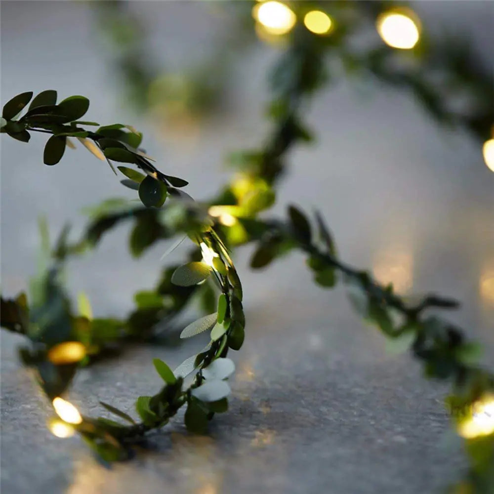 Stellar Vine String Lights