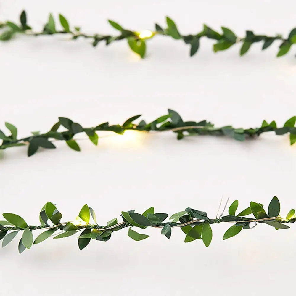 Stellar Vine String Lights